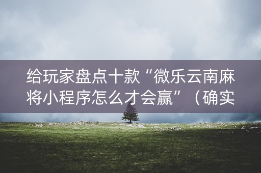 给玩家盘点十款“微乐云南麻将小程序怎么才会赢”（确实有插件吗)