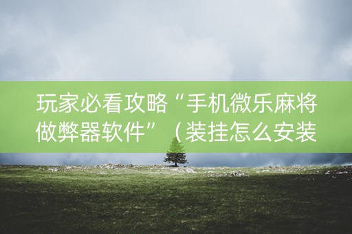 玩家必看攻略“手机微乐麻将做弊器软件”（装挂怎么安装)