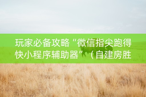 玩家必备攻略“微信指尖跑得快小程序辅助器”（自建房胜负规律)