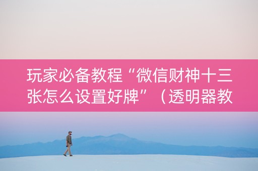 玩家必备教程“微信财神十三张怎么设置好牌”（透明器教程)