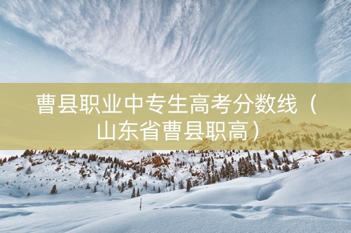 曹县职业中专生高考分数线（山东省曹县职高）