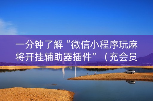 一分钟了解“微信小程序玩麻将开挂辅助器插件”（充会员胜率高)
