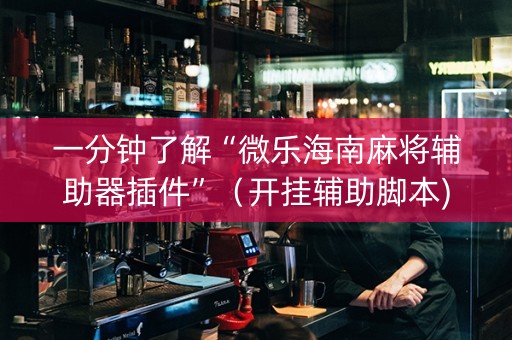 一分钟了解“微乐海南麻将辅助器插件”（开挂辅助脚本)