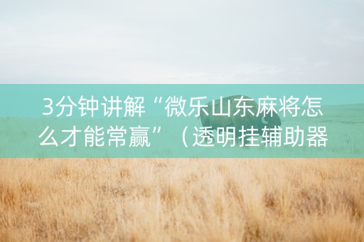 3分钟讲解“微乐山东麻将怎么才能常赢”（透明挂辅助器)