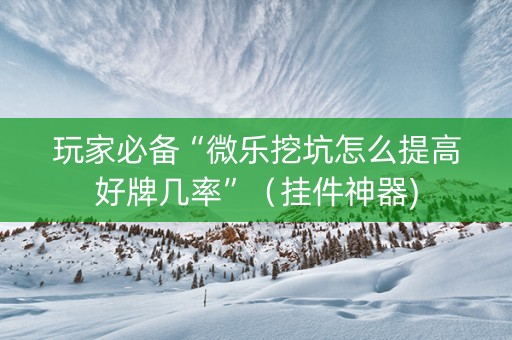 玩家必备“微乐挖坑怎么提高好牌几率”（挂件神器)