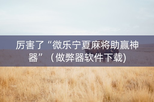 厉害了“微乐宁夏麻将助赢神器”（做弊器软件下载)