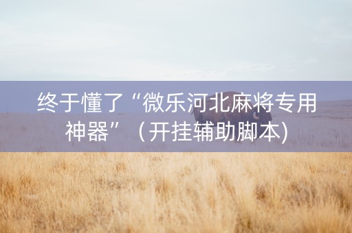 终于懂了“微乐河北麻将专用神器”（开挂辅助脚本)