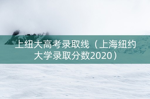 上纽大高考录取线（上海纽约大学录取分数2020）