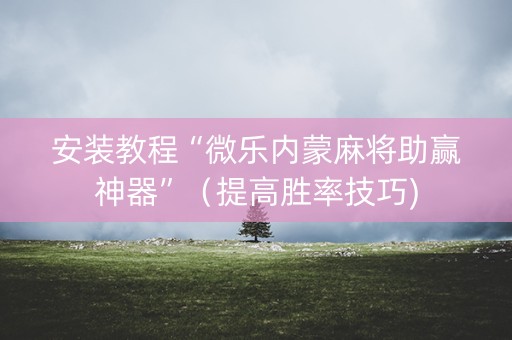 安装教程“微乐内蒙麻将助赢神器”（提高胜率技巧)