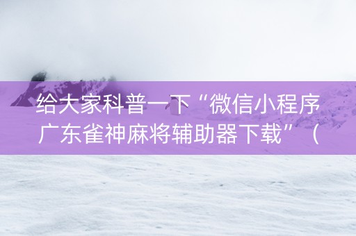 给大家科普一下“微信小程序广东雀神麻将辅助器下载”（有什么诀窍)