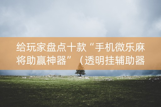 给玩家盘点十款“手机微乐麻将助赢神器”（透明挂辅助器)