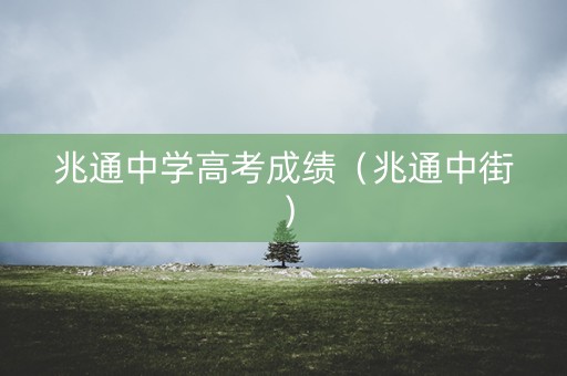 兆通中学高考成绩（兆通中街）
