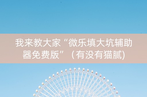 我来教大家“微乐填大坑辅助器免费版”（有没有猫腻)