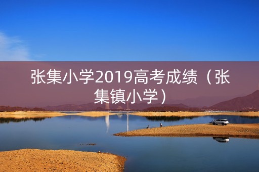 张集小学2019高考成绩（张集镇小学）