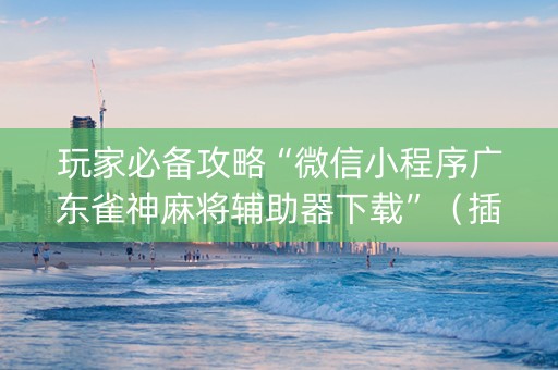玩家必备攻略“微信小程序广东雀神麻将辅助器下载”（插件开挂免费AI)
