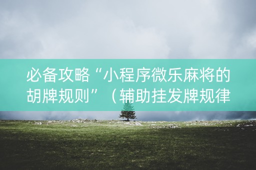 必备攻略“小程序微乐麻将的胡牌规则”（辅助挂发牌规律)