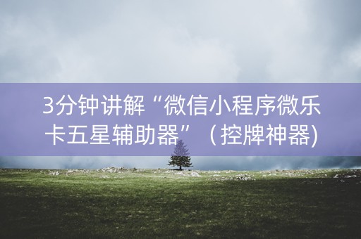 3分钟讲解“微信小程序微乐卡五星辅助器”（控牌神器)