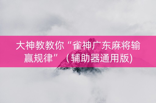 大神教教你“雀神广东麻将输赢规律”（辅助器通用版)
