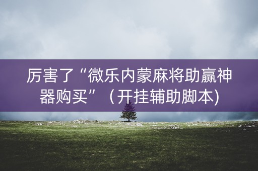 厉害了“微乐内蒙麻将助赢神器购买”（开挂辅助脚本)