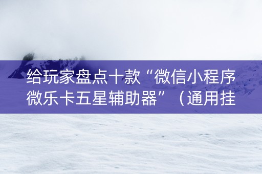 给玩家盘点十款“微信小程序微乐卡五星辅助器”（通用挂软件多少钱)