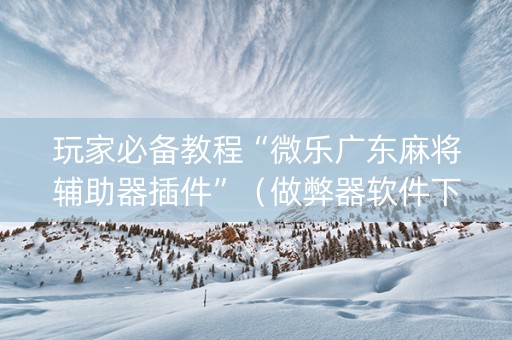 玩家必备教程“微乐广东麻将辅助器插件”（做弊器软件下载)
