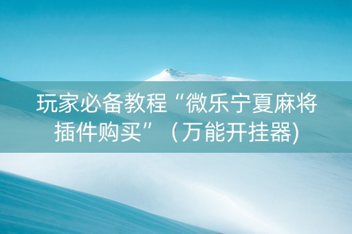 玩家必备教程“微乐宁夏麻将插件购买”（万能开挂器)