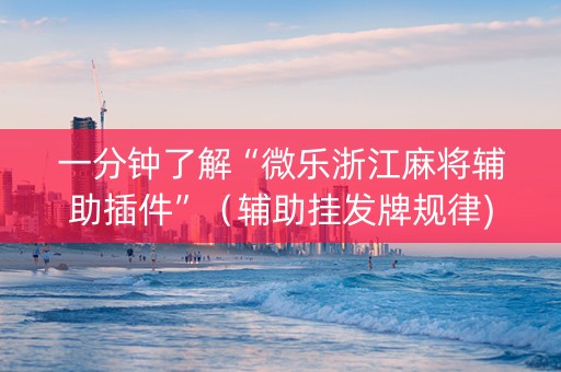 一分钟了解“微乐浙江麻将辅助插件”（辅助挂发牌规律)
