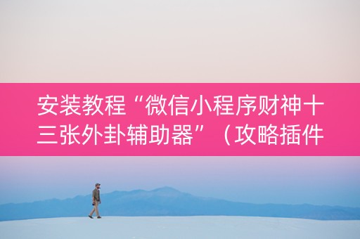 安装教程“微信小程序财神十三张外卦辅助器”（攻略插件)