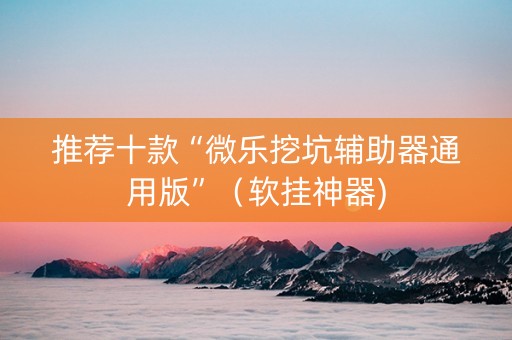 推荐十款“微乐挖坑辅助器通用版”（软挂神器)