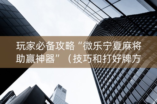 玩家必备攻略“微乐宁夏麻将助赢神器”（技巧和打好牌方法)