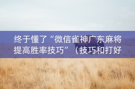 终于懂了“微信雀神广东麻将提高胜率技巧”（技巧和打好牌方法)