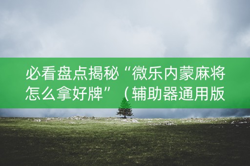 必看盘点揭秘“微乐内蒙麻将怎么拿好牌”（辅助器通用版)