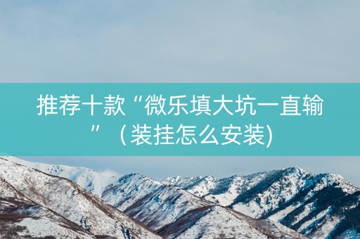 推荐十款“微乐填大坑一直输”（装挂怎么安装)