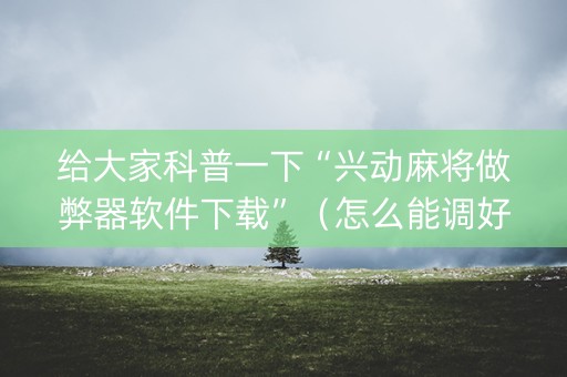 给大家科普一下“兴动麻将做弊器软件下载”（怎么能调好牌)