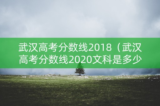武汉高考分数线2018（武汉高考分数线2020文科是多少）
