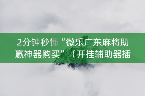 2分钟秒懂“微乐广东麻将助赢神器购买”（开挂辅助器插件)