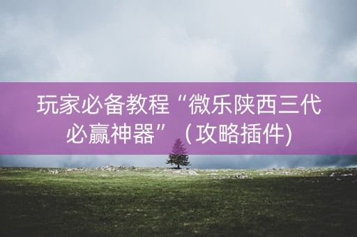 玩家必备教程“微乐陕西三代必赢神器”（攻略插件)