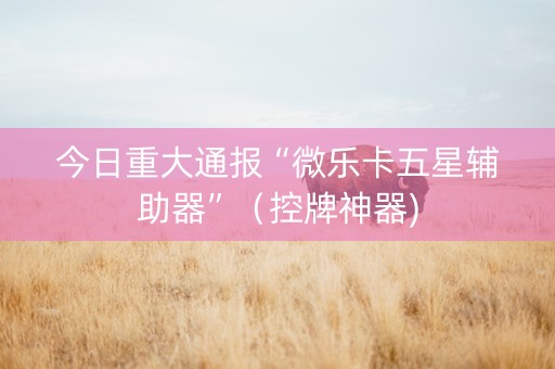 今日重大通报“微乐卡五星辅助器”（控牌神器)
