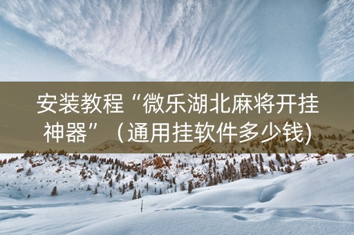 安装教程“微乐湖北麻将开挂神器”（通用挂软件多少钱)