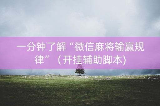 一分钟了解“微信麻将输赢规律”（开挂辅助脚本)