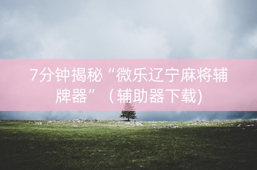 7分钟揭秘“微乐辽宁麻将辅牌器”（辅助器下载)