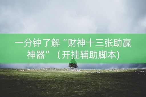 一分钟了解“财神十三张助赢神器”（开挂辅助脚本)