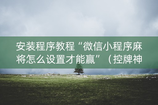 安装程序教程“微信小程序麻将怎么设置才能赢”（控牌神器)