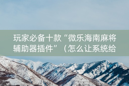 玩家必备十款“微乐海南麻将辅助器插件”（怎么让系统给自己好牌)