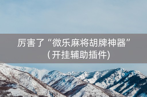 厉害了“微乐麻将胡牌神器”（开挂辅助插件)