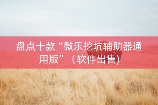盘点十款“微乐挖坑辅助器通用版”（软件出售)