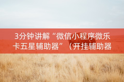 3分钟讲解“微信小程序微乐卡五星辅助器”（开挂辅助器插件)