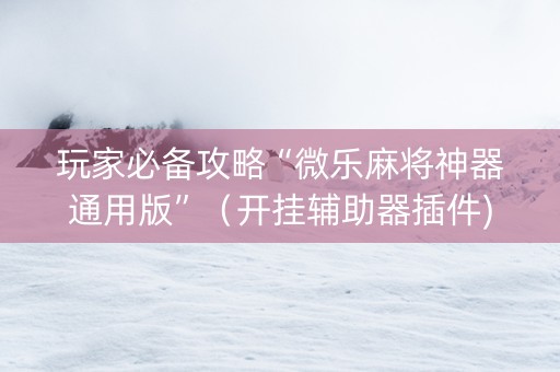 玩家必备攻略“微乐麻将神器通用版”（开挂辅助器插件)
