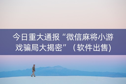 今日重大通报“微信麻将小游戏骗局大揭密”（软件出售)