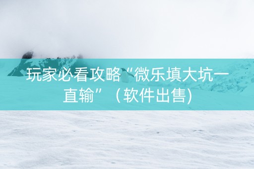 玩家必看攻略“微乐填大坑一直输”（软件出售)